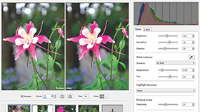 Camera RAW Lab